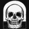 skullLogo100